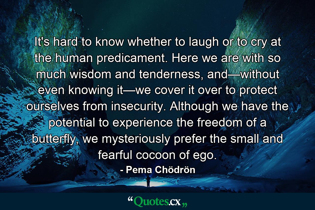 It's hard to know whether to laugh or to cry at the human predicament. Here we are with so much wisdom and tenderness, and—without even knowing it—we cover it over to protect ourselves from insecurity. Although we have the potential to experience the freedom of a butterfly, we mysteriously prefer the small and fearful cocoon of ego. - Quote by Pema Chödrön