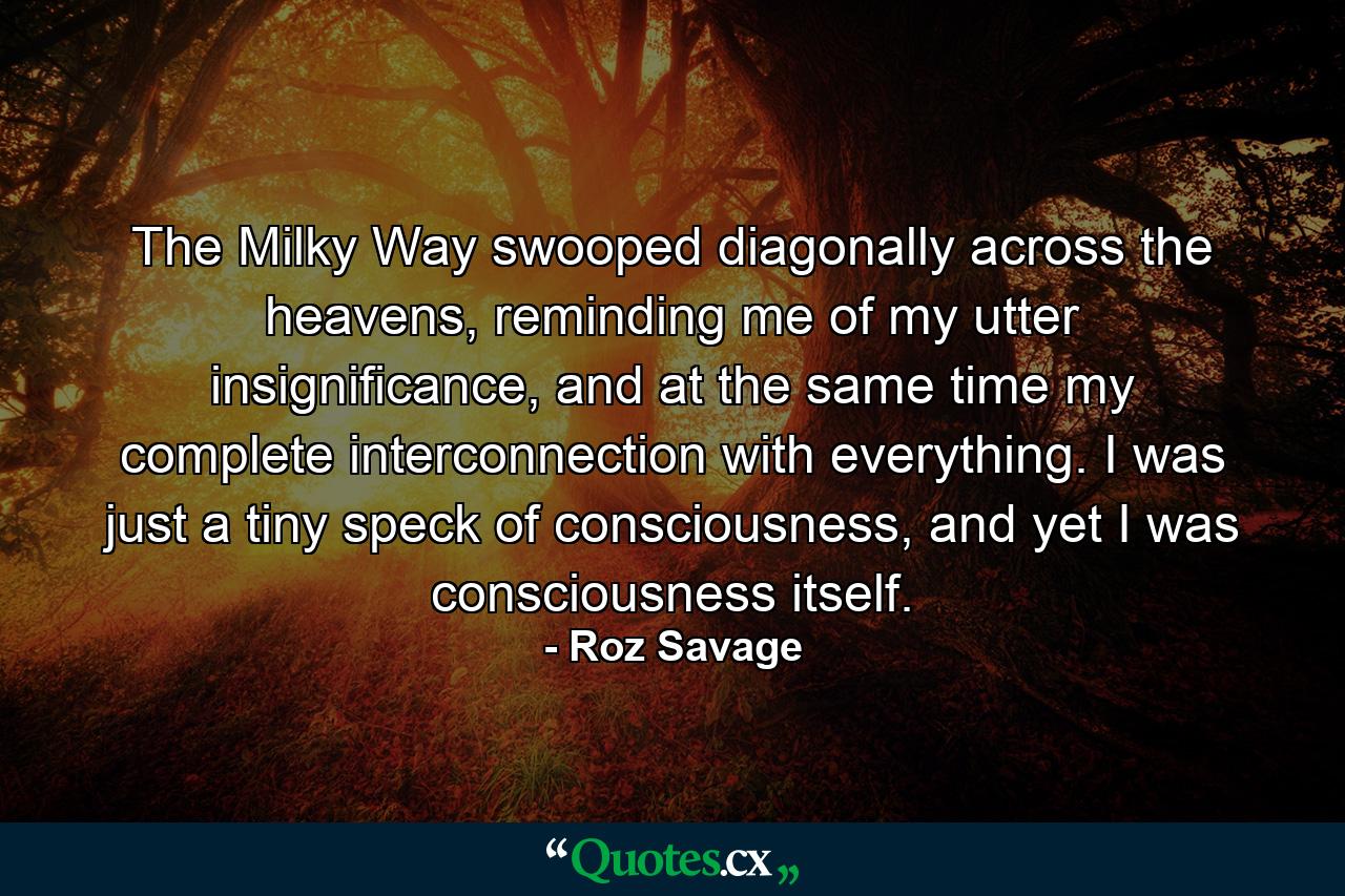 The Milky Way swooped diagonally across the heavens, reminding me of my utter insignificance, and at the same time my complete interconnection with everything. I was just a tiny speck of consciousness, and yet I was consciousness itself. - Quote by Roz Savage