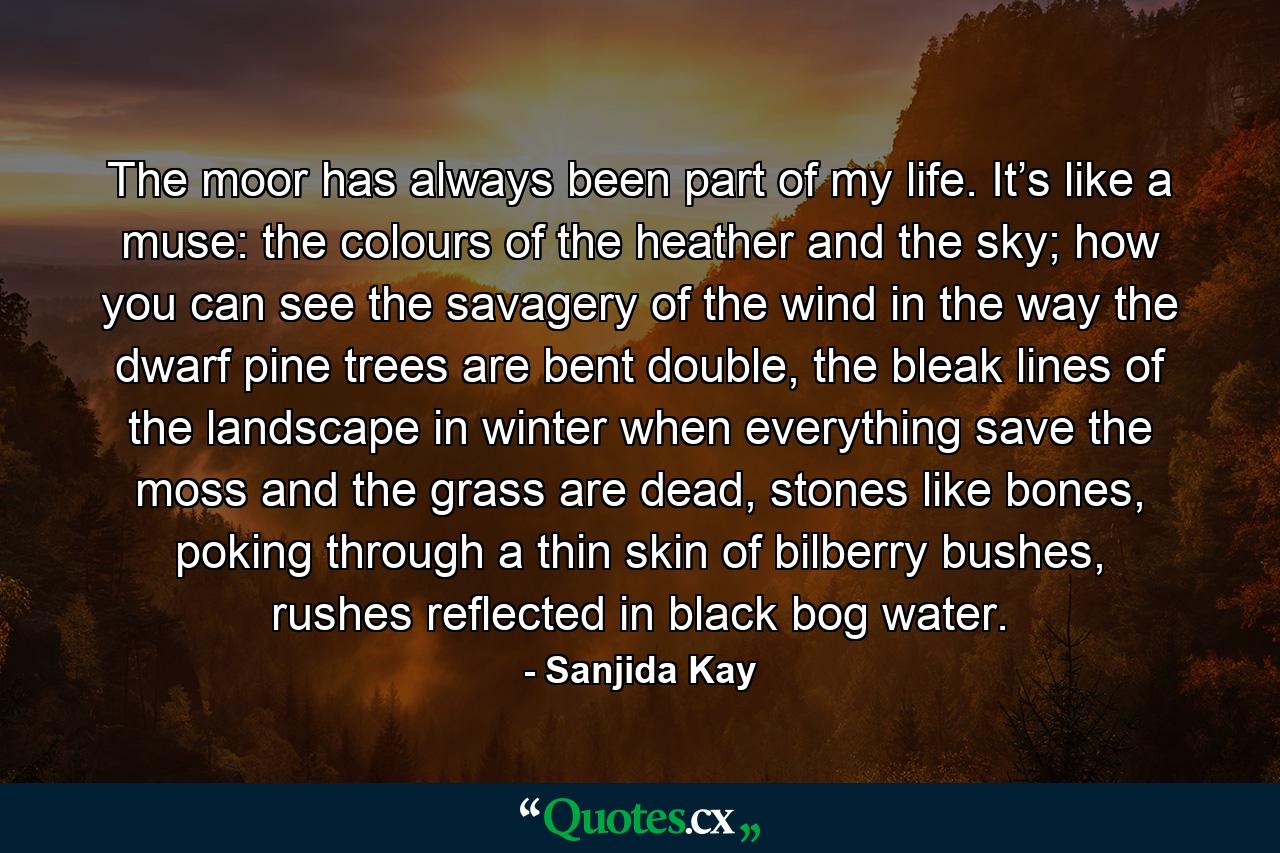 The moor has always been part of my life. It’s like a muse: the colours of the heather and the sky; how you can see the savagery of the wind in the way the dwarf pine trees are bent double, the bleak lines of the landscape in winter when everything save the moss and the grass are dead, stones like bones, poking through a thin skin of bilberry bushes, rushes reflected in black bog water. - Quote by Sanjida Kay