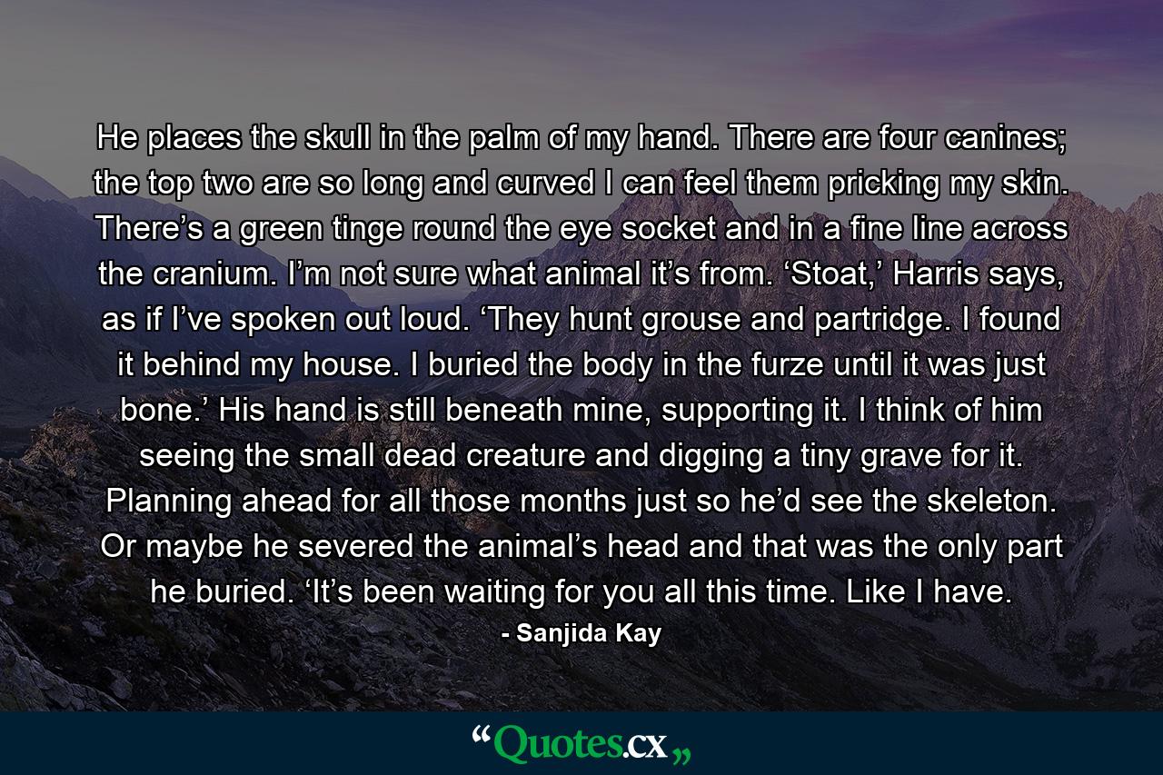 He places the skull in the palm of my hand. There are four canines; the top two are so long and curved I can feel them pricking my skin. There’s a green tinge round the eye socket and in a fine line across the cranium. I’m not sure what animal it’s from. ‘Stoat,’ Harris says, as if I’ve spoken out loud. ‘They hunt grouse and partridge. I found it behind my house. I buried the body in the furze until it was just bone.’ His hand is still beneath mine, supporting it. I think of him seeing the small dead creature and digging a tiny grave for it. Planning ahead for all those months just so he’d see the skeleton. Or maybe he severed the animal’s head and that was the only part he buried. ‘It’s been waiting for you all this time. Like I have. - Quote by Sanjida Kay