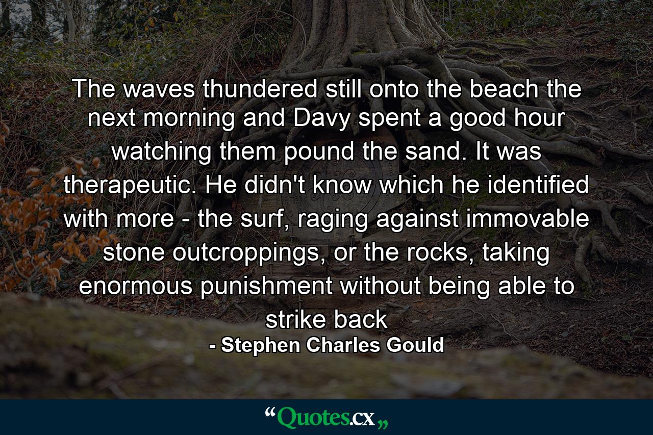 The waves thundered still onto the beach the next morning and Davy spent a good hour watching them pound the sand. It was therapeutic. He didn't know which he identified with more - the surf, raging against immovable stone outcroppings, or the rocks, taking enormous punishment without being able to strike back - Quote by Stephen Charles Gould