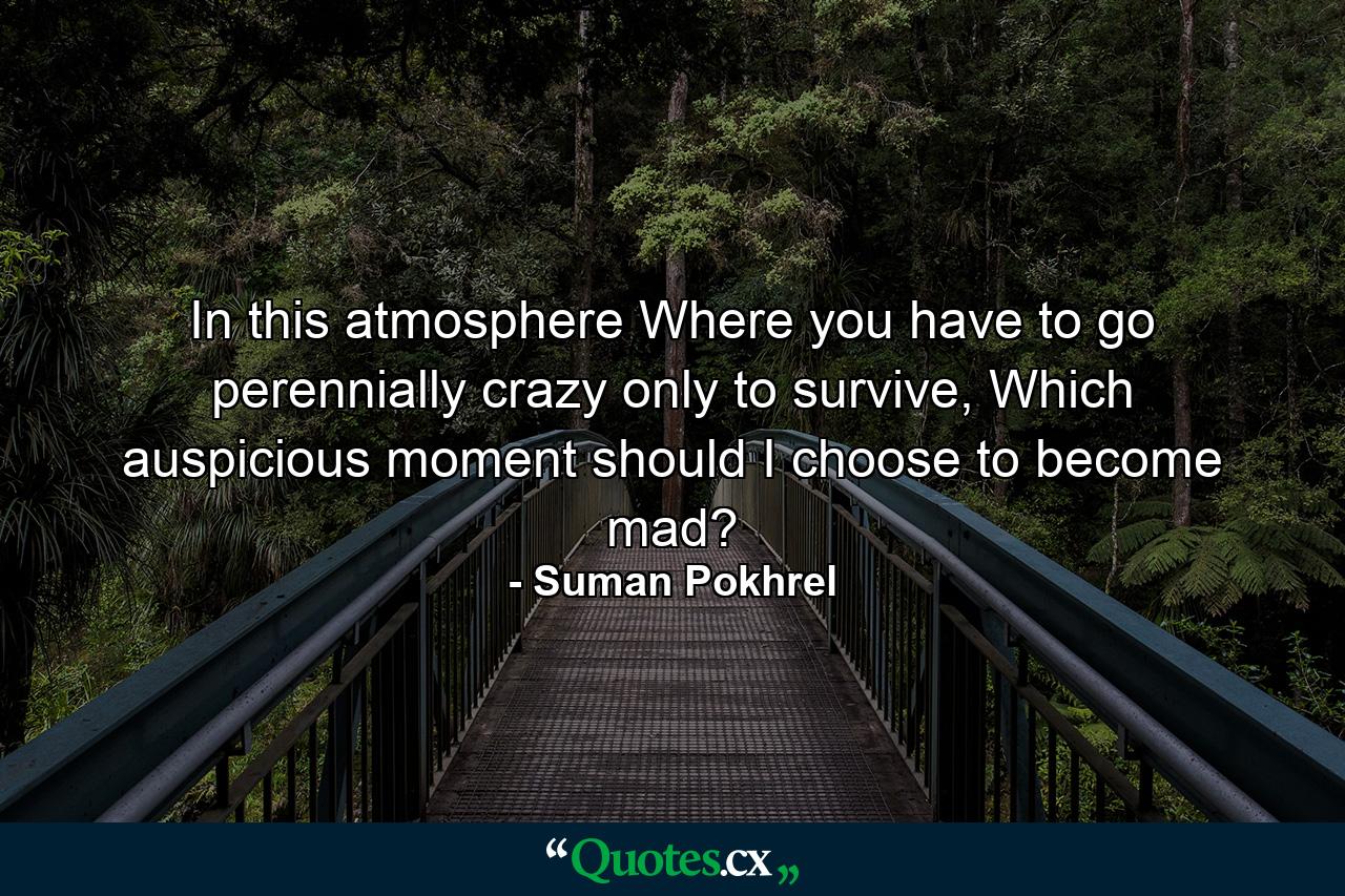 In this atmosphere Where you have to go perennially crazy only to survive, Which auspicious moment should I choose to become mad? - Quote by Suman Pokhrel