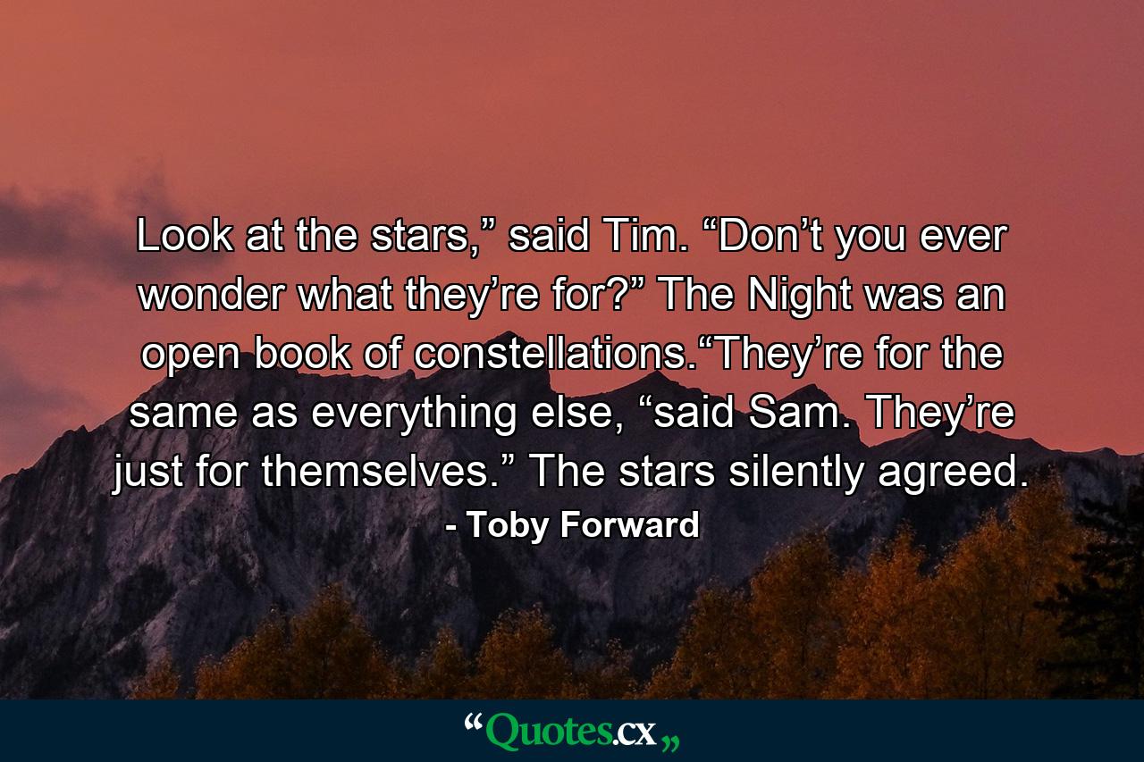 Look at the stars,” said Tim. “Don’t you ever wonder what they’re for?” The Night was an open book of constellations.“They’re for the same as everything else, “said Sam. They’re just for themselves.” The stars silently agreed. - Quote by Toby Forward