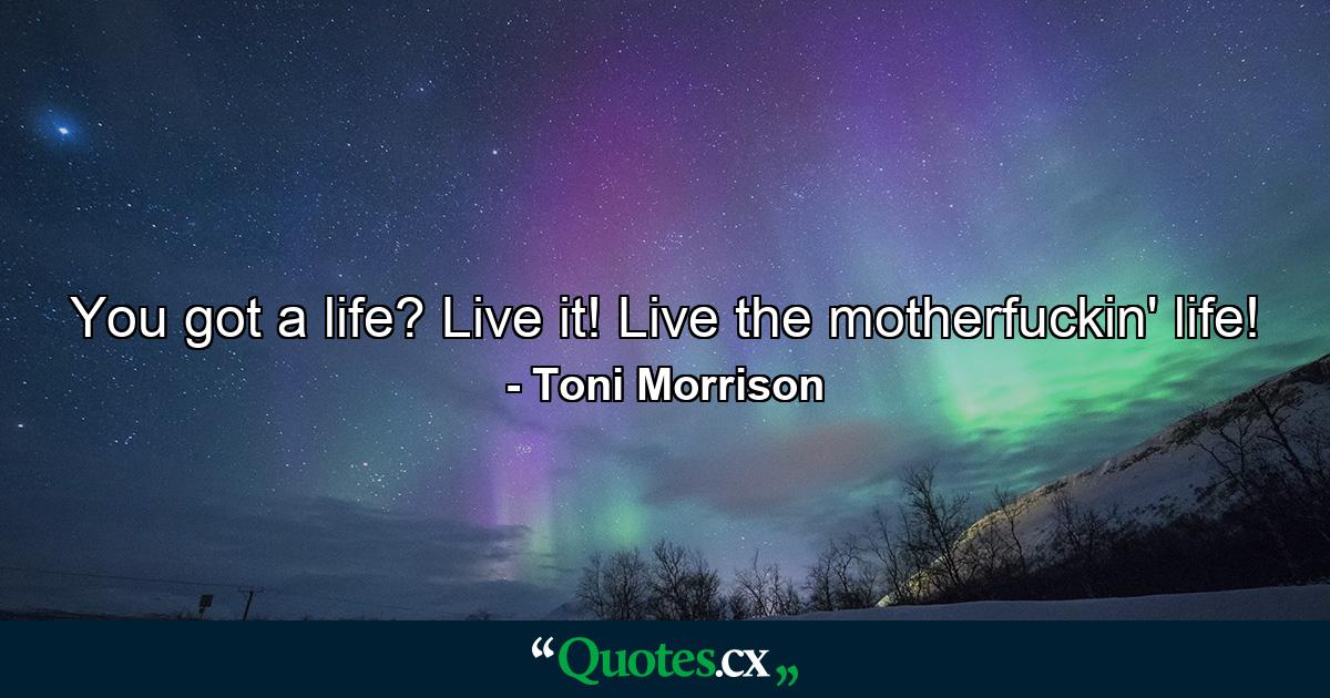 You got a life? Live it! Live the motherfuckin' life! - Quote by Toni Morrison