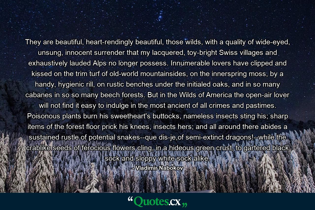 They are beautiful, heart-rendingly beautiful, those wilds, with a quality of wide-eyed, unsung, innocent surrender that my lacquered, toy-bright Swiss villages and exhaustively lauded Alps no longer possess. Innumerable lovers have clipped and kissed on the trim turf of old-world mountainsides, on the innerspring moss, by a handy, hygienic rill, on rustic benches under the initialed oaks, and in so many cabanes in so so many beech forests. But in the Wilds of America the open-air lover will not find it easy to indulge in the most ancient of all crimes and pastimes. Poisonous plants burn his sweetheart's buttocks, nameless insects sting his; sharp items of the forest floor prick his knees, insects hers; and all around there abides a sustained rustle of potential snakes--que dis-je,of semi-extinct dragons!--while the crablike seeds of ferocious flowers cling, in a hideous green crust, to gartered black sock and sloppy white sock alike. - Quote by Vladimir Nabokov