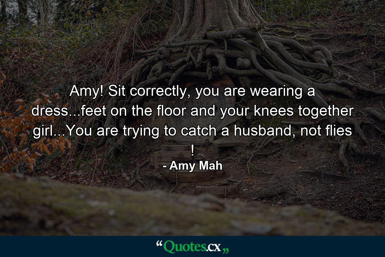 Amy! Sit correctly, you are wearing a dress...feet on the floor and your knees together girl...You are trying to catch a husband, not flies ! - Quote by Amy Mah