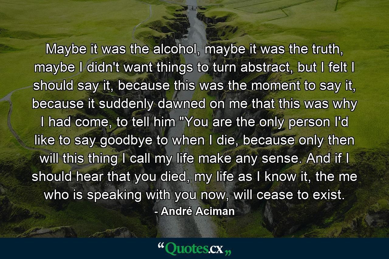 Maybe it was the alcohol, maybe it was the truth, maybe I didn't want things to turn abstract, but I felt I should say it, because this was the moment to say it, because it suddenly dawned on me that this was why I had come, to tell him 