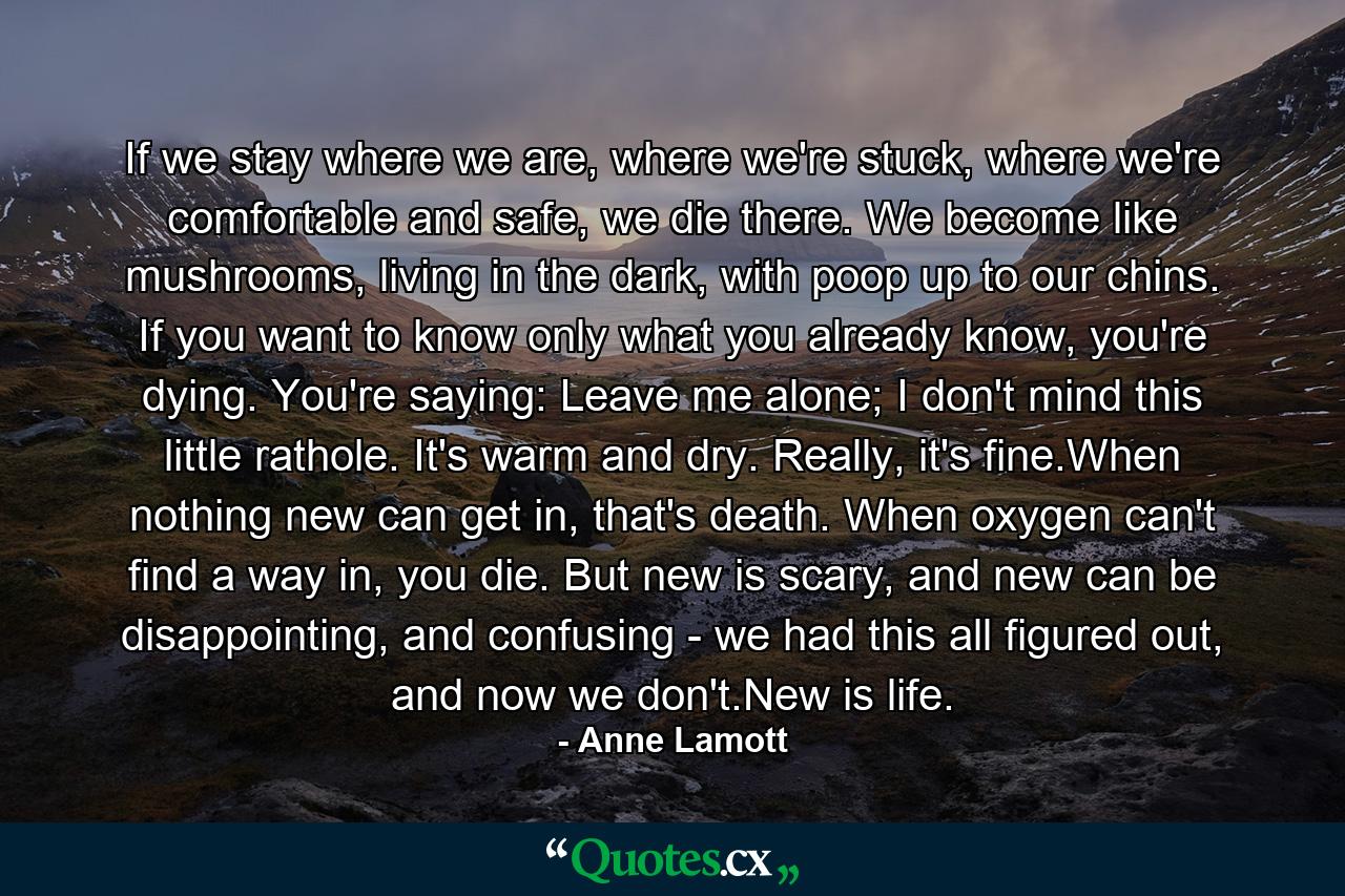 If we stay where we are, where we're stuck, where we're comfortable and safe, we die there. We become like mushrooms, living in the dark, with poop up to our chins. If you want to know only what you already know, you're dying. You're saying: Leave me alone; I don't mind this little rathole. It's warm and dry. Really, it's fine.When nothing new can get in, that's death. When oxygen can't find a way in, you die. But new is scary, and new can be disappointing, and confusing - we had this all figured out, and now we don't.New is life. - Quote by Anne Lamott