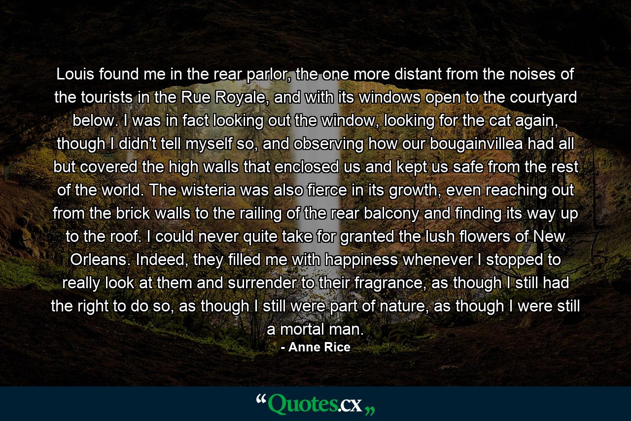 Louis found me in the rear parlor, the one more distant from the noises of the tourists in the Rue Royale, and with its windows open to the courtyard below. I was in fact looking out the window, looking for the cat again, though I didn't tell myself so, and observing how our bougainvillea had all but covered the high walls that enclosed us and kept us safe from the rest of the world. The wisteria was also fierce in its growth, even reaching out from the brick walls to the railing of the rear balcony and finding its way up to the roof. I could never quite take for granted the lush flowers of New Orleans. Indeed, they filled me with happiness whenever I stopped to really look at them and surrender to their fragrance, as though I still had the right to do so, as though I still were part of nature, as though I were still a mortal man. - Quote by Anne Rice