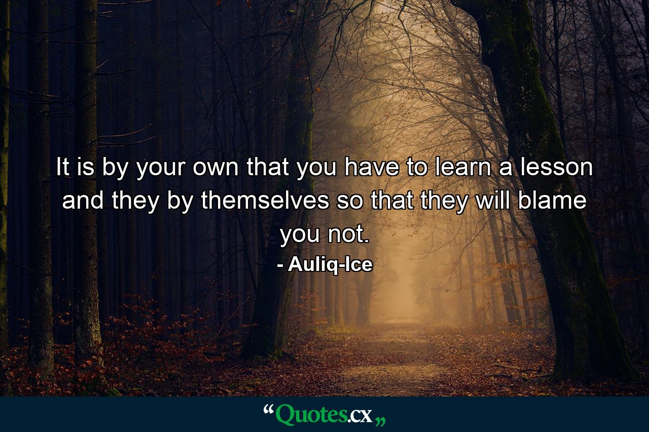 It is by your own that you have to learn a lesson and they by themselves so that they will blame you not. - Quote by Auliq-Ice