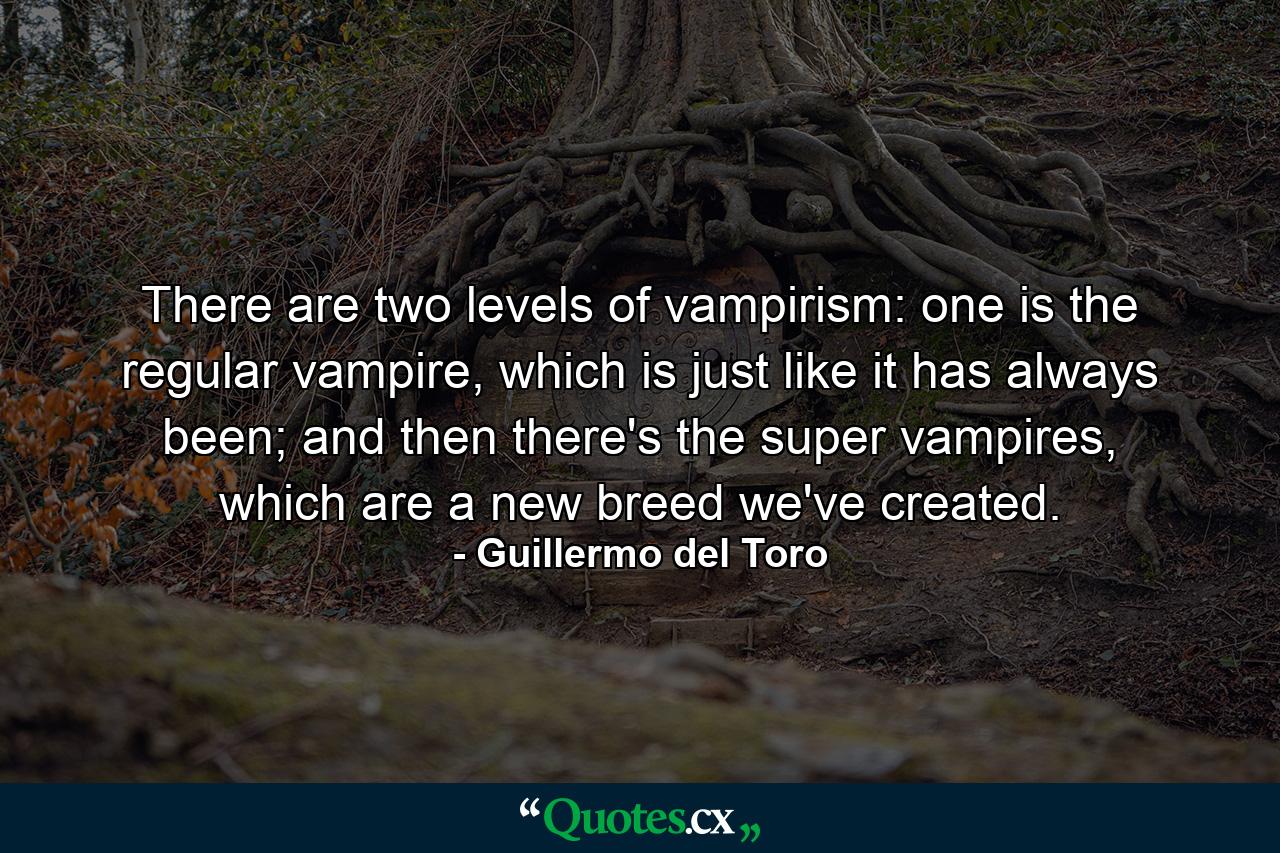 There are two levels of vampirism: one is the regular vampire, which is just like it has always been; and then there's the super vampires, which are a new breed we've created. - Quote by Guillermo del Toro