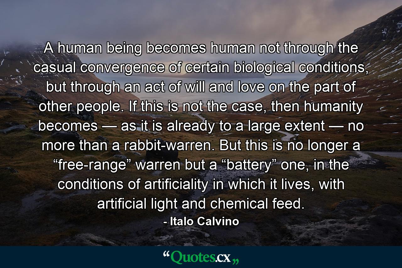 A human being becomes human not through the casual convergence of certain biological conditions, but through an act of will and love on the part of other people. If this is not the case, then humanity becomes — as it is already to a large extent — no more than a rabbit-warren. But this is no longer a “free-range” warren but a “battery” one, in the conditions of artificiality in which it lives, with artificial light and chemical feed. - Quote by Italo Calvino