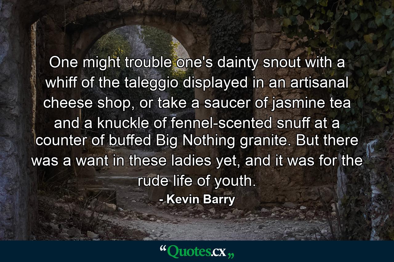 One might trouble one's dainty snout with a whiff of the taleggio displayed in an artisanal cheese shop, or take a saucer of jasmine tea and a knuckle of fennel-scented snuff at a counter of buffed Big Nothing granite. But there was a want in these ladies yet, and it was for the rude life of youth. - Quote by Kevin Barry