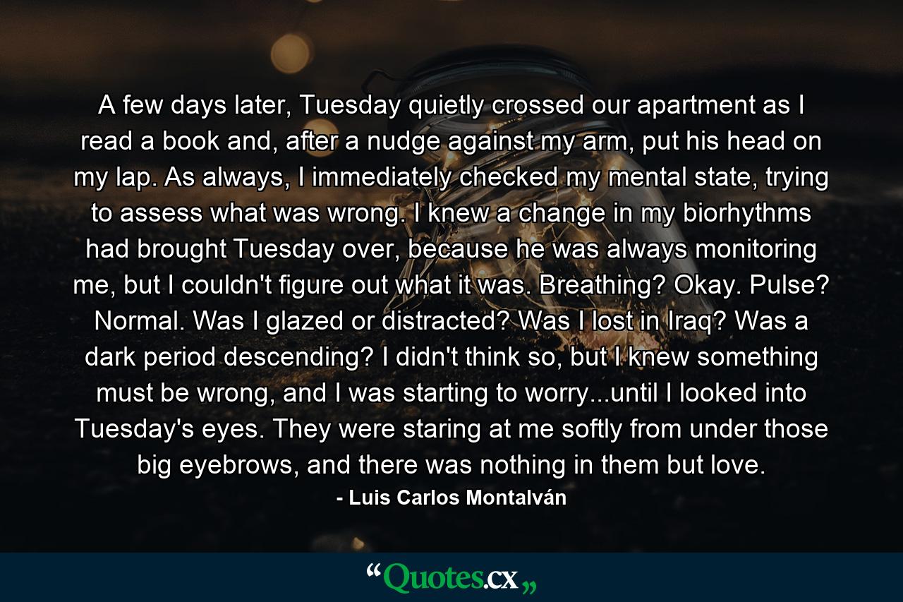 A few days later, Tuesday quietly crossed our apartment as I read a book and, after a nudge against my arm, put his head on my lap. As always, I immediately checked my mental state, trying to assess what was wrong. I knew a change in my biorhythms had brought Tuesday over, because he was always monitoring me, but I couldn't figure out what it was. Breathing? Okay. Pulse? Normal. Was I glazed or distracted? Was I lost in Iraq? Was a dark period descending? I didn't think so, but I knew something must be wrong, and I was starting to worry...until I looked into Tuesday's eyes. They were staring at me softly from under those big eyebrows, and there was nothing in them but love. - Quote by Luis Carlos Montalván