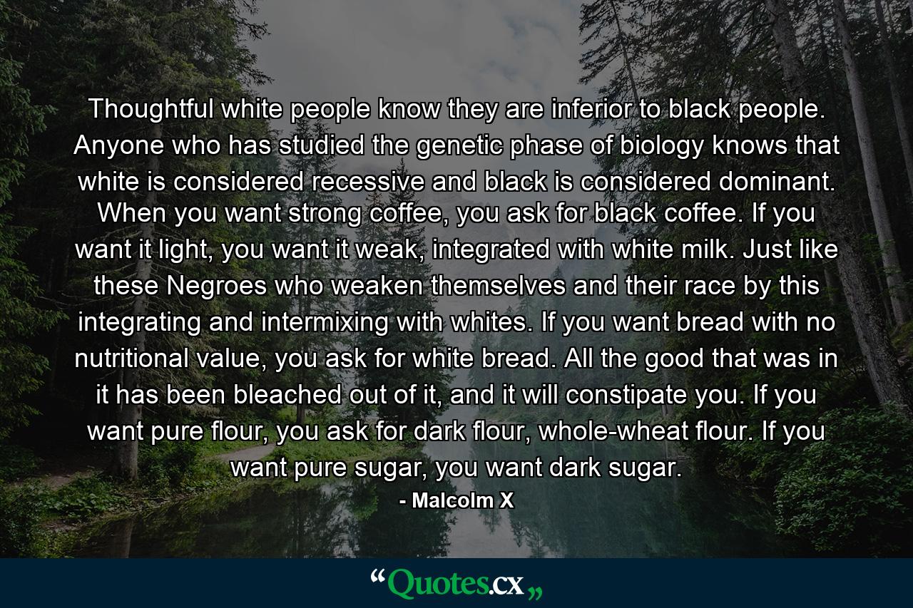 Thoughtful white people know they are inferior to black people. Anyone who has studied the genetic phase of biology knows that white is considered recessive and black is considered dominant. When you want strong coffee, you ask for black coffee. If you want it light, you want it weak, integrated with white milk. Just like these Negroes who weaken themselves and their race by this integrating and intermixing with whites. If you want bread with no nutritional value, you ask for white bread. All the good that was in it has been bleached out of it, and it will constipate you. If you want pure flour, you ask for dark flour, whole-wheat flour. If you want pure sugar, you want dark sugar. - Quote by Malcolm X