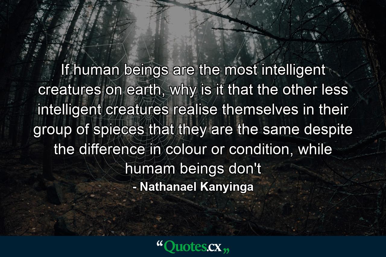 If human beings are the most intelligent creatures on earth, why is it that the other less intelligent creatures realise themselves in their group of spieces that they are the same despite the difference in colour or condition, while humam beings don't - Quote by Nathanael Kanyinga