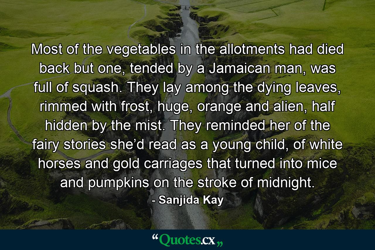 Most of the vegetables in the allotments had died back but one, tended by a Jamaican man, was full of squash. They lay among the dying leaves, rimmed with frost, huge, orange and alien, half hidden by the mist. They reminded her of the fairy stories she’d read as a young child, of white horses and gold carriages that turned into mice and pumpkins on the stroke of midnight. - Quote by Sanjida Kay