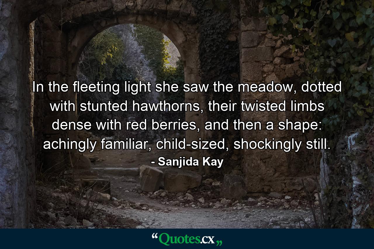 In the fleeting light she saw the meadow, dotted with stunted hawthorns, their twisted limbs dense with red berries, and then a shape: achingly familiar, child-sized, shockingly still. - Quote by Sanjida Kay