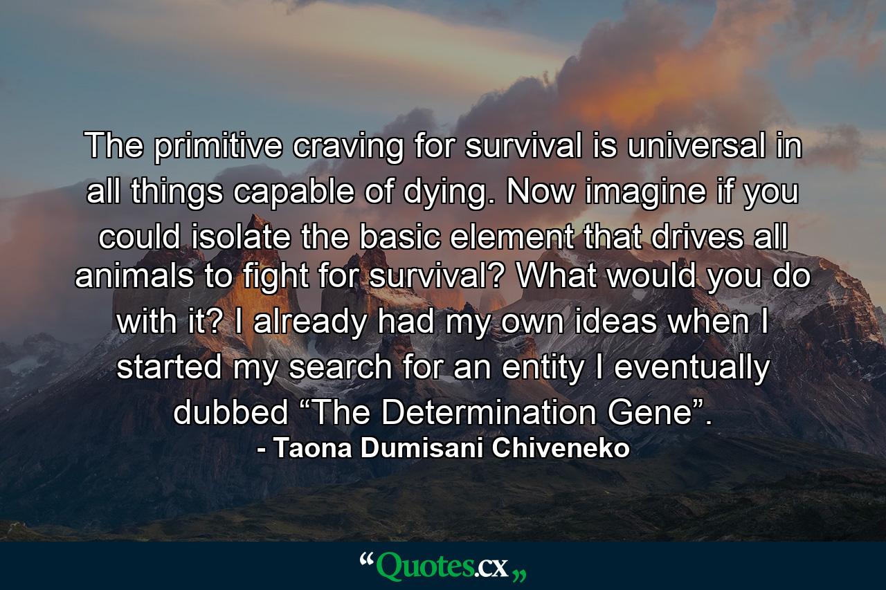 The primitive craving for survival is universal in all things capable of dying. Now imagine if you could isolate the basic element that drives all animals to fight for survival? What would you do with it? I already had my own ideas when I started my search for an entity I eventually dubbed “The Determination Gene”. - Quote by Taona Dumisani Chiveneko