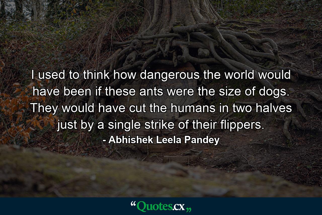 I used to think how dangerous the world would have been if these ants were the size of dogs. They would have cut the humans in two halves just by a single strike of their flippers. - Quote by Abhishek Leela Pandey