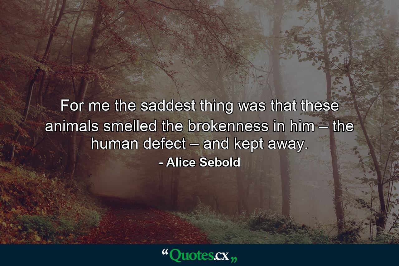 For me the saddest thing was that these animals smelled the brokenness in him – the human defect – and kept away. - Quote by Alice Sebold