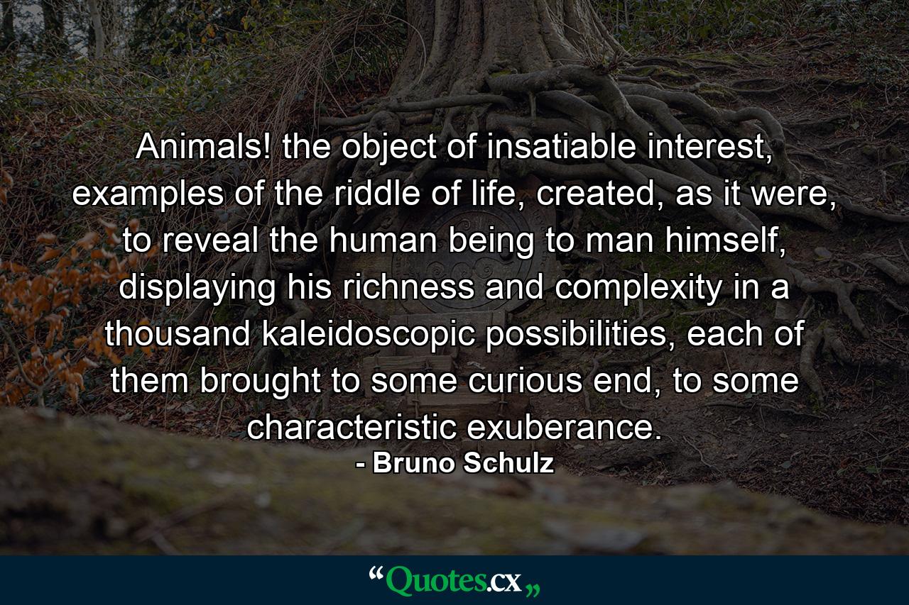 Animals! the object of insatiable interest, examples of the riddle of life, created, as it were, to reveal the human being to man himself, displaying his richness and complexity in a thousand kaleidoscopic possibilities, each of them brought to some curious end, to some characteristic exuberance. - Quote by Bruno Schulz