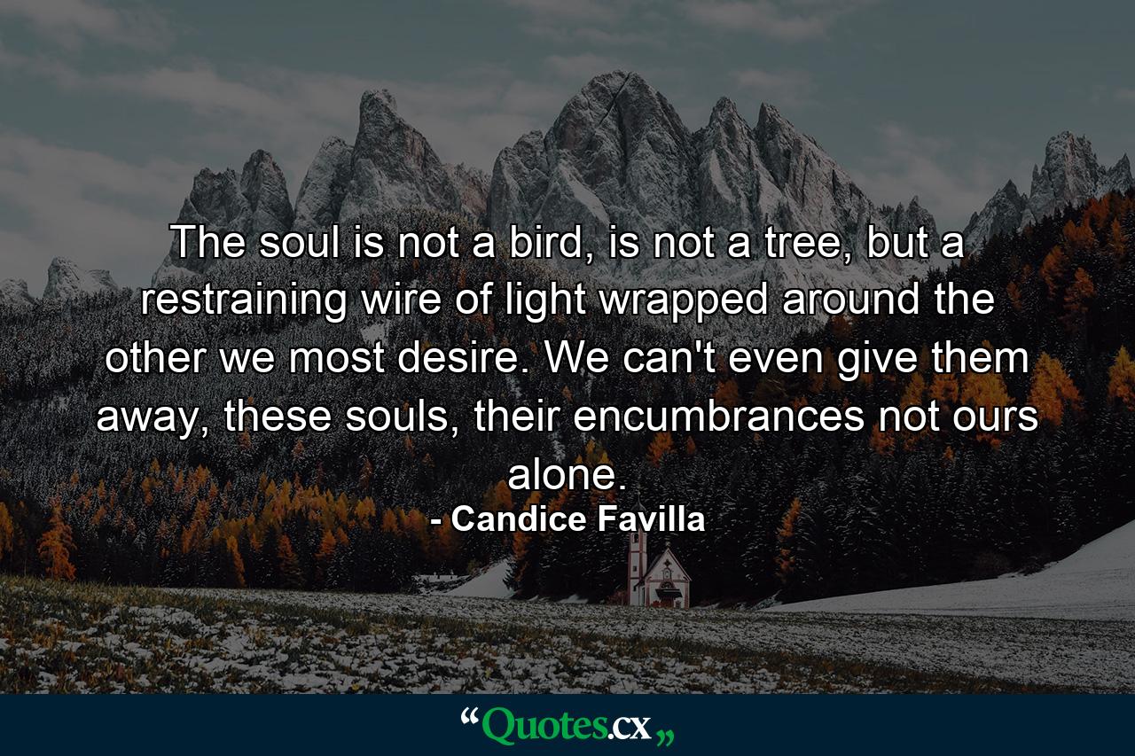 The soul is not a bird, is not a tree, but a restraining wire of light wrapped around the other we most desire. We can't even give them away, these souls, their encumbrances not ours alone. - Quote by Candice Favilla