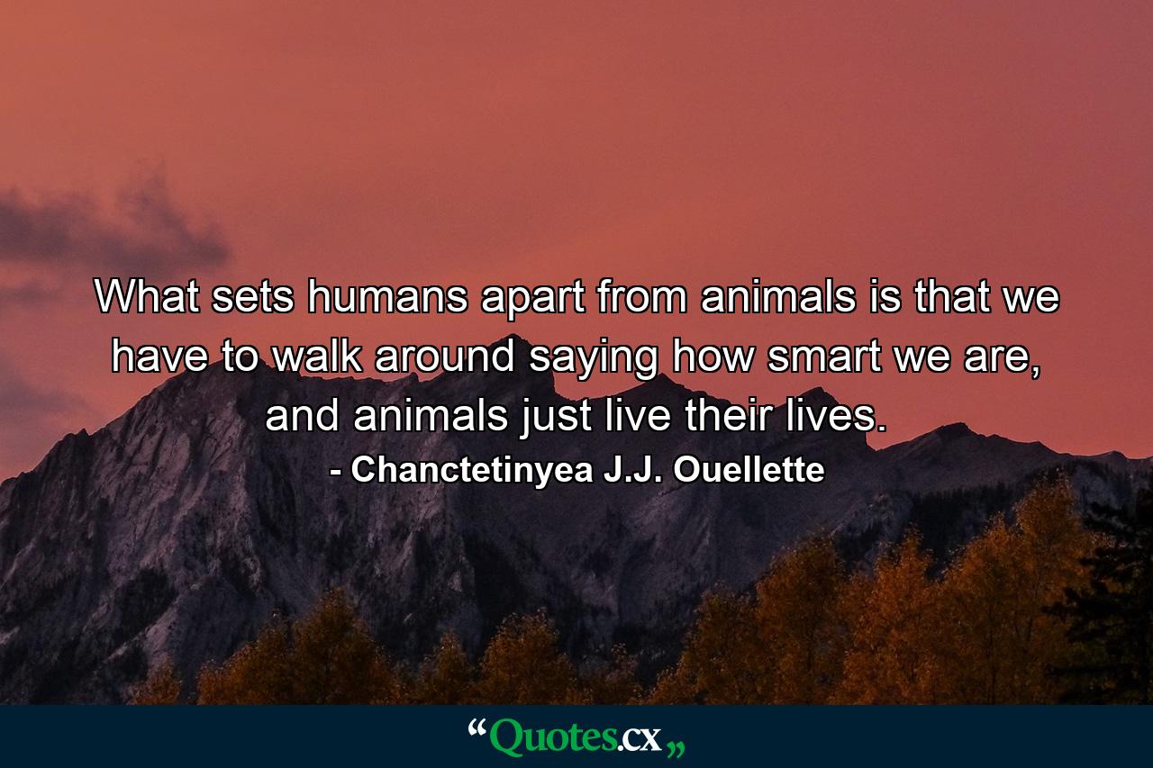 What sets humans apart from animals is that we have to walk around saying how smart we are, and animals just live their lives. - Quote by Chanctetinyea J.J. Ouellette