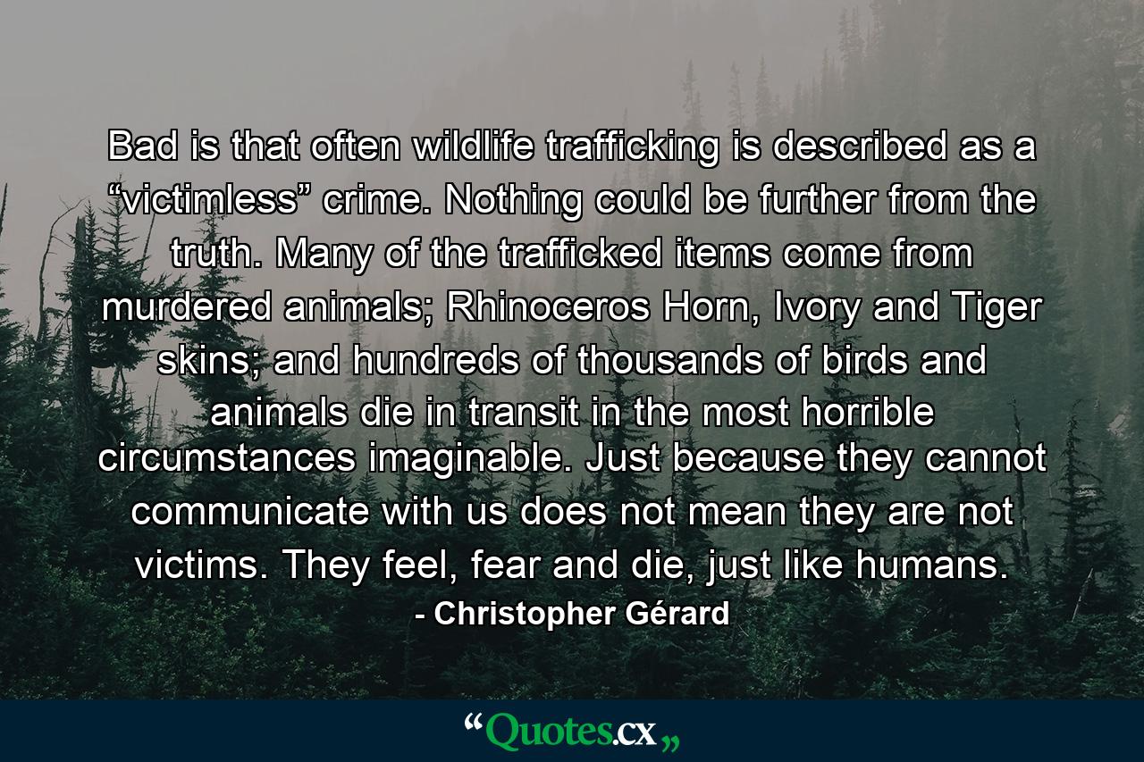 Bad is that often wildlife trafficking is described as a “victimless” crime. Nothing could be further from the truth. Many of the trafficked items come from murdered animals; Rhinoceros Horn, Ivory and Tiger skins; and hundreds of thousands of birds and animals die in transit in the most horrible circumstances imaginable. Just because they cannot communicate with us does not mean they are not victims. They feel, fear and die, just like humans. - Quote by Christopher Gérard