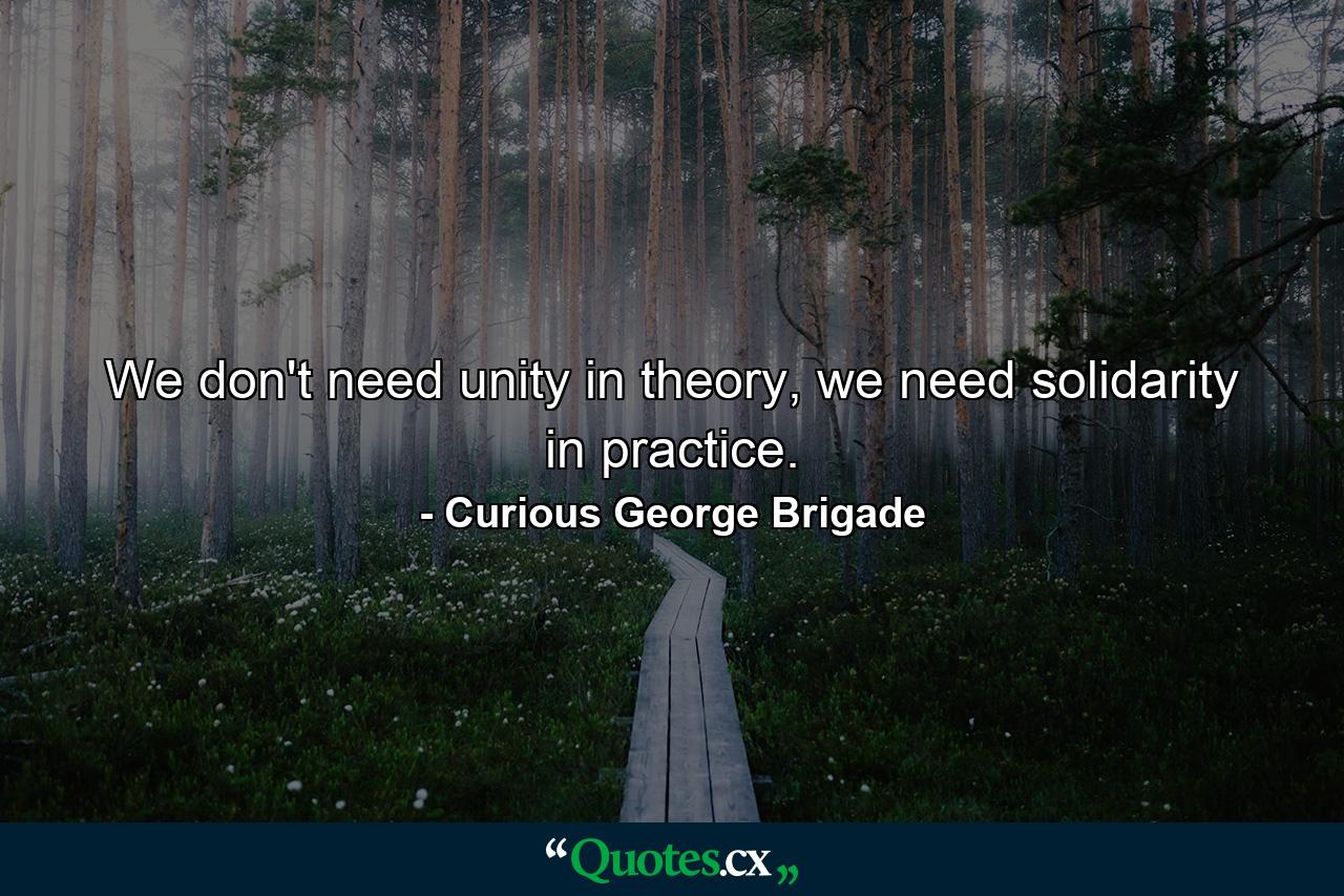 We don't need unity in theory, we need solidarity in practice. - Quote by Curious George Brigade