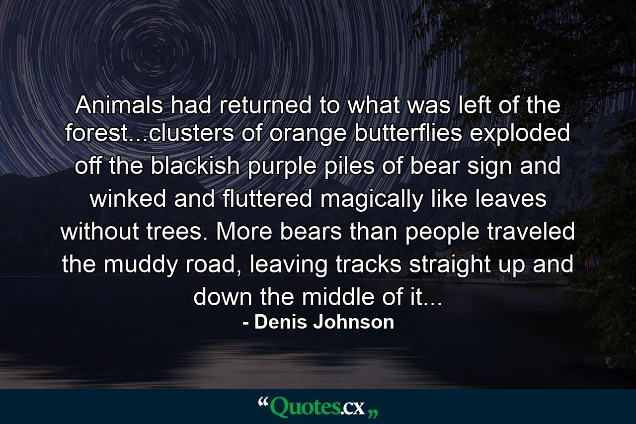 Animals had returned to what was left of the forest...clusters of orange butterflies exploded off the blackish purple piles of bear sign and winked and fluttered magically like leaves without trees. More bears than people traveled the muddy road, leaving tracks straight up and down the middle of it... - Quote by Denis Johnson