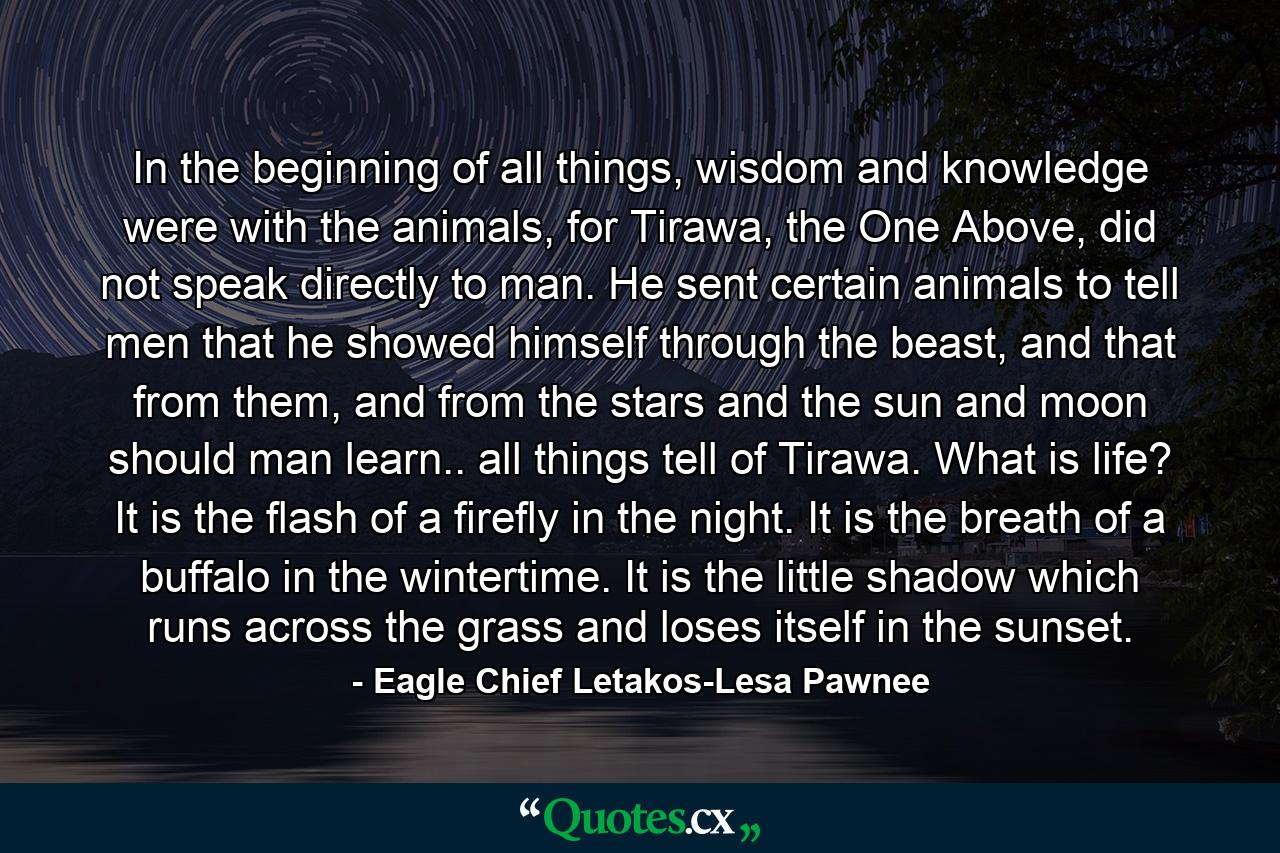 In the beginning of all things, wisdom and knowledge were with the animals, for Tirawa, the One Above, did not speak directly to man. He sent certain animals to tell men that he showed himself through the beast, and that from them, and from the stars and the sun and moon should man learn.. all things tell of Tirawa. What is life? It is the flash of a firefly in the night. It is the breath of a buffalo in the wintertime. It is the little shadow which runs across the grass and loses itself in the sunset. - Quote by Eagle Chief Letakos-Lesa Pawnee