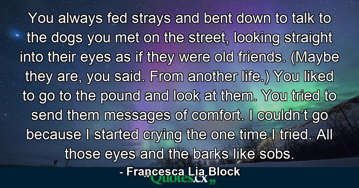 You always fed strays and bent down to talk to the dogs you met on the street, looking straight into their eyes as if they were old friends. (Maybe they are, you said. From another life.) You liked to go to the pound and look at them. You tried to send them messages of comfort. I couldn’t go because I started crying the one time I tried. All those eyes and the barks like sobs. - Quote by Francesca Lia Block