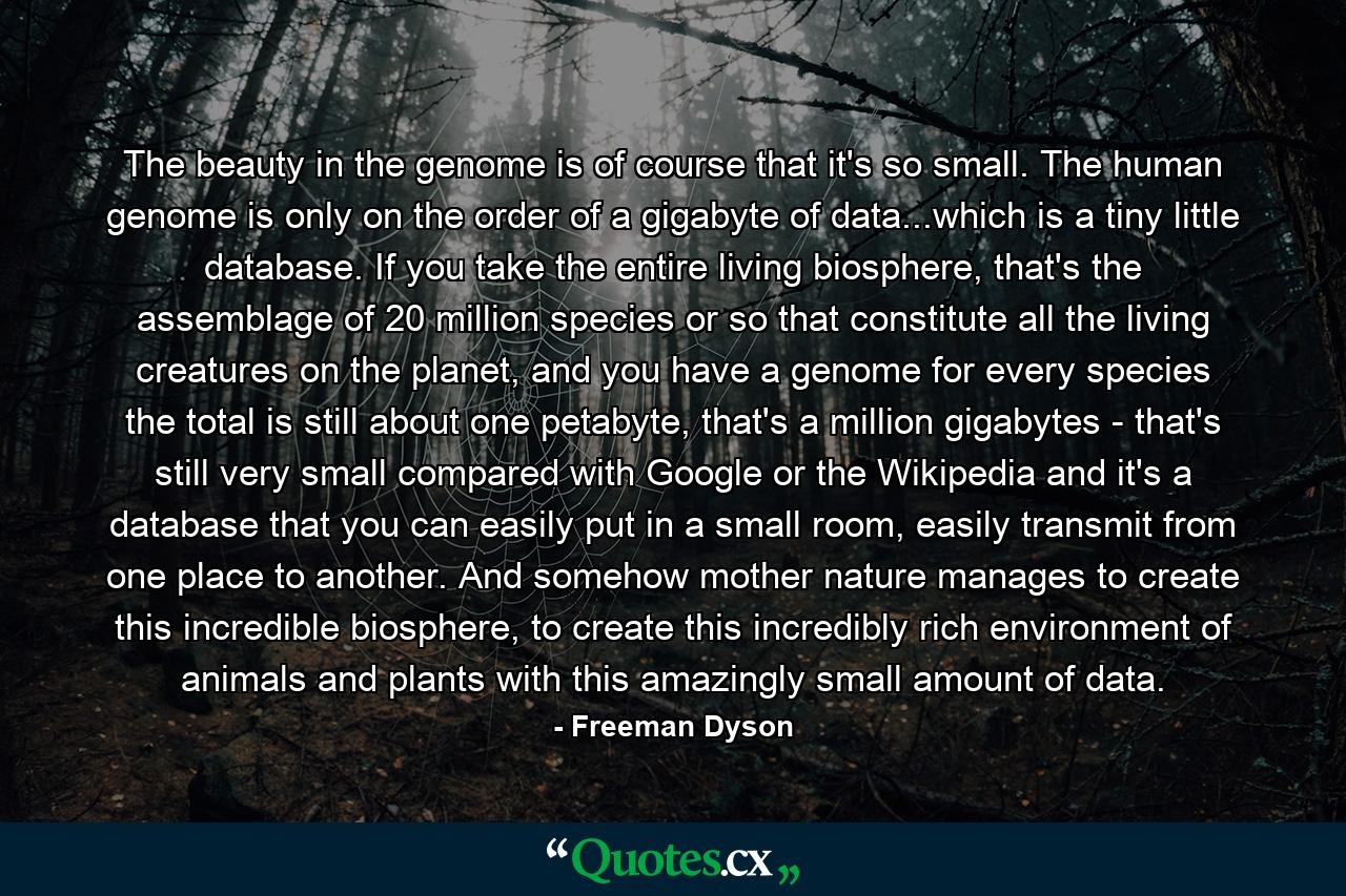 The beauty in the genome is of course that it's so small. The human genome is only on the order of a gigabyte of data...which is a tiny little database. If you take the entire living biosphere, that's the assemblage of 20 million species or so that constitute all the living creatures on the planet, and you have a genome for every species the total is still about one petabyte, that's a million gigabytes - that's still very small compared with Google or the Wikipedia and it's a database that you can easily put in a small room, easily transmit from one place to another. And somehow mother nature manages to create this incredible biosphere, to create this incredibly rich environment of animals and plants with this amazingly small amount of data. - Quote by Freeman Dyson