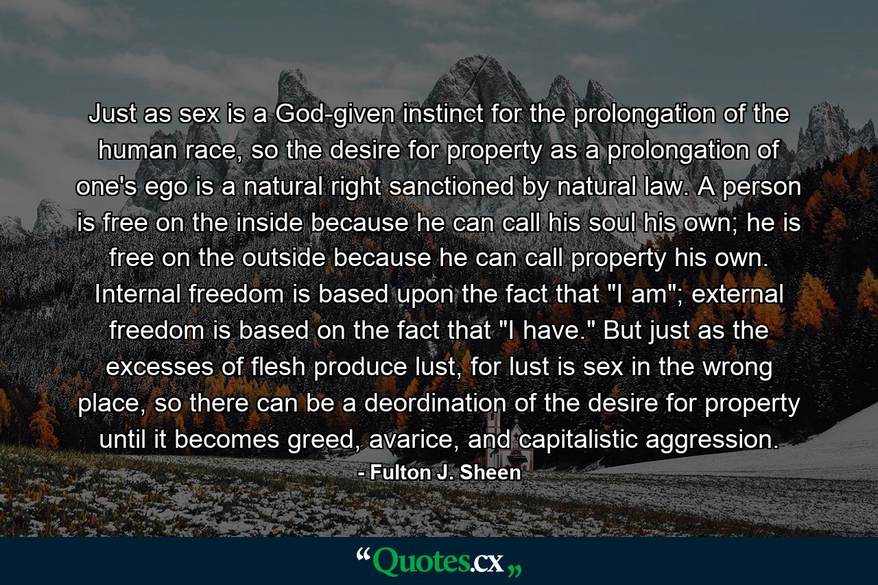 Just as sex is a God-given instinct for the prolongation of the human race, so the desire for property as a prolongation of one's ego is a natural right sanctioned by natural law. A person is free on the inside because he can call his soul his own; he is free on the outside because he can call property his own. Internal freedom is based upon the fact that 