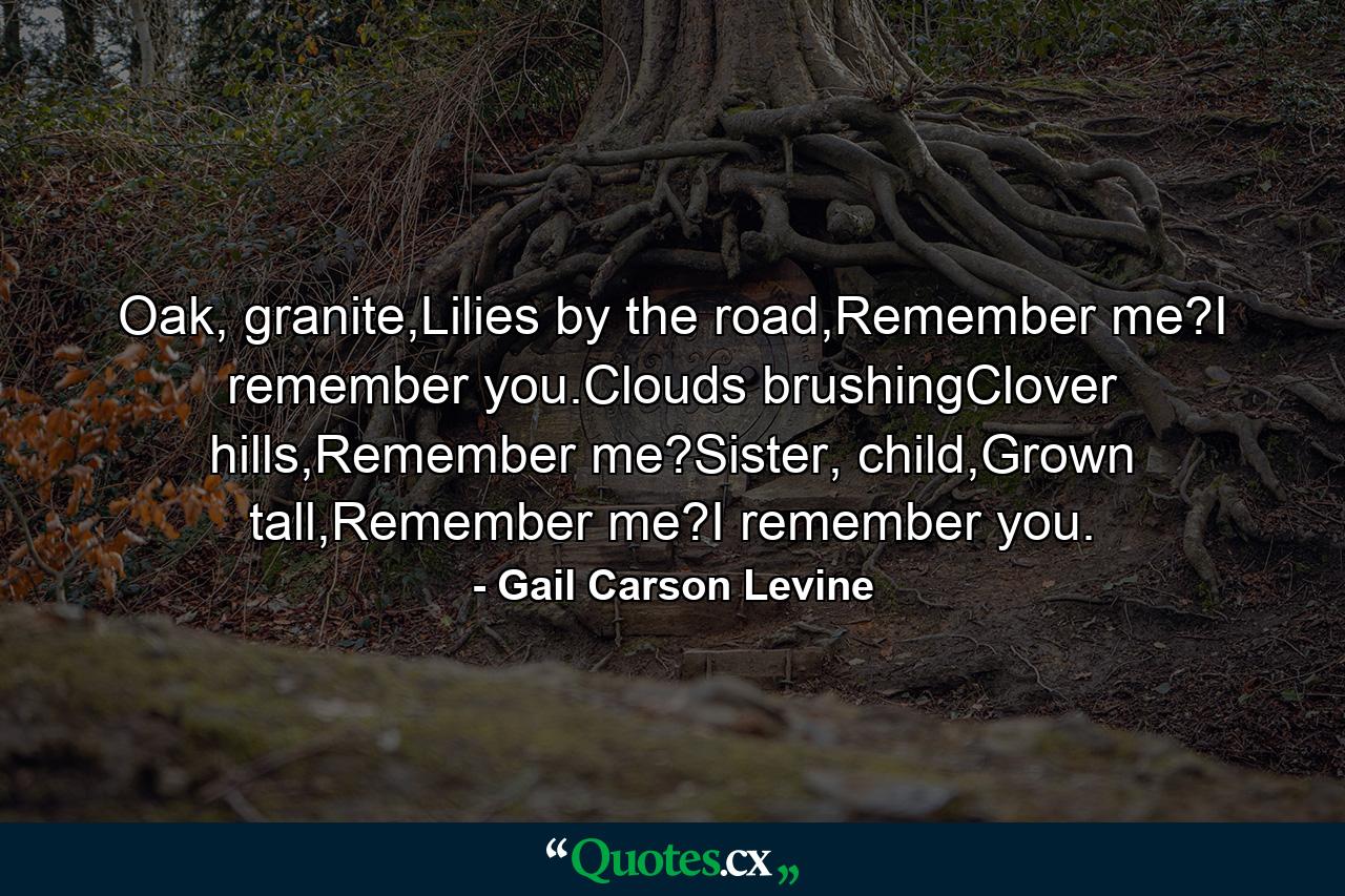 Oak, granite,Lilies by the road,Remember me?I remember you.Clouds brushingClover hills,Remember me?Sister, child,Grown tall,Remember me?I remember you. - Quote by Gail Carson Levine