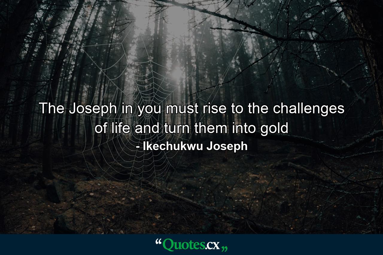 The Joseph in you must rise to the challenges of life and turn them into gold - Quote by Ikechukwu Joseph