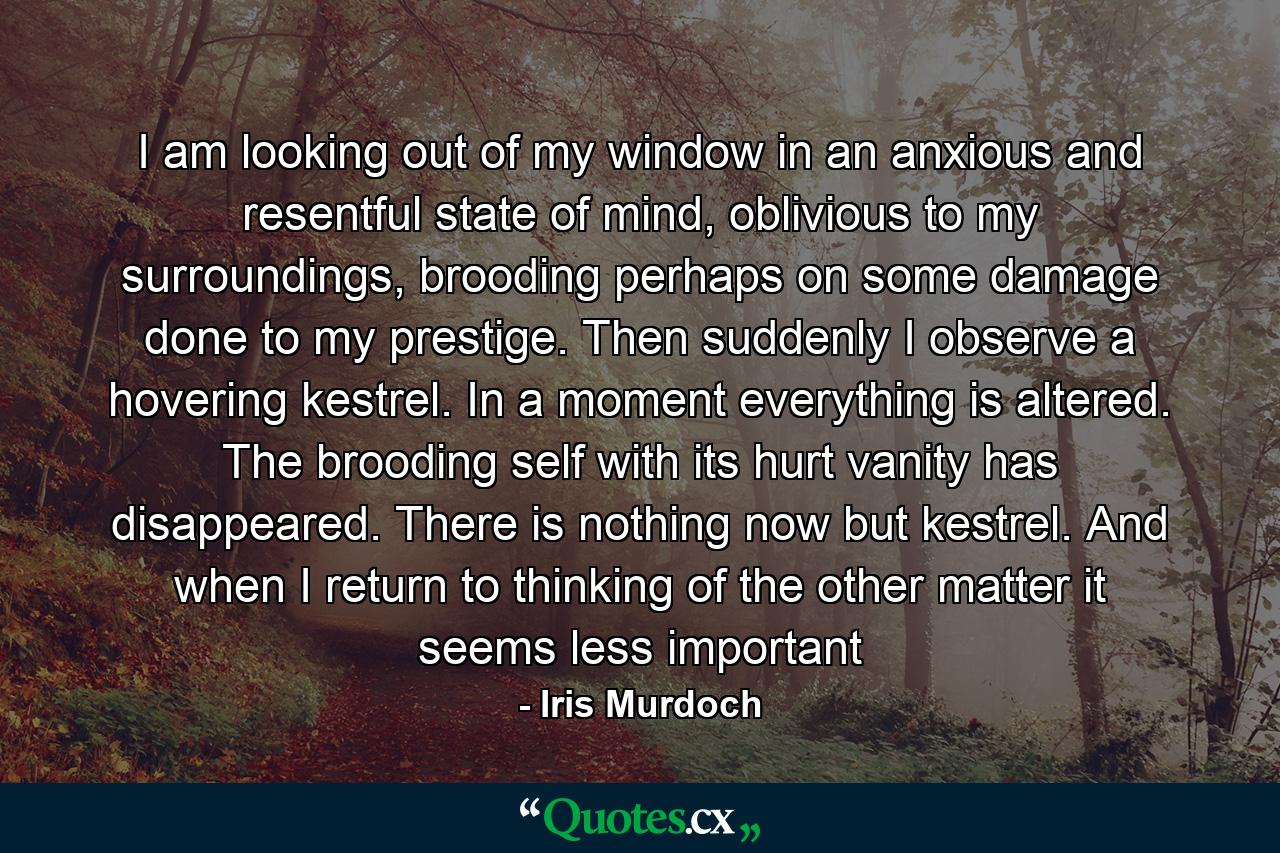 I am looking out of my window in an anxious and resentful state of mind, oblivious to my surroundings, brooding perhaps on some damage done to my prestige. Then suddenly I observe a hovering kestrel. In a moment everything is altered. The brooding self with its hurt vanity has disappeared. There is nothing now but kestrel. And when I return to thinking of the other matter it seems less important - Quote by Iris Murdoch