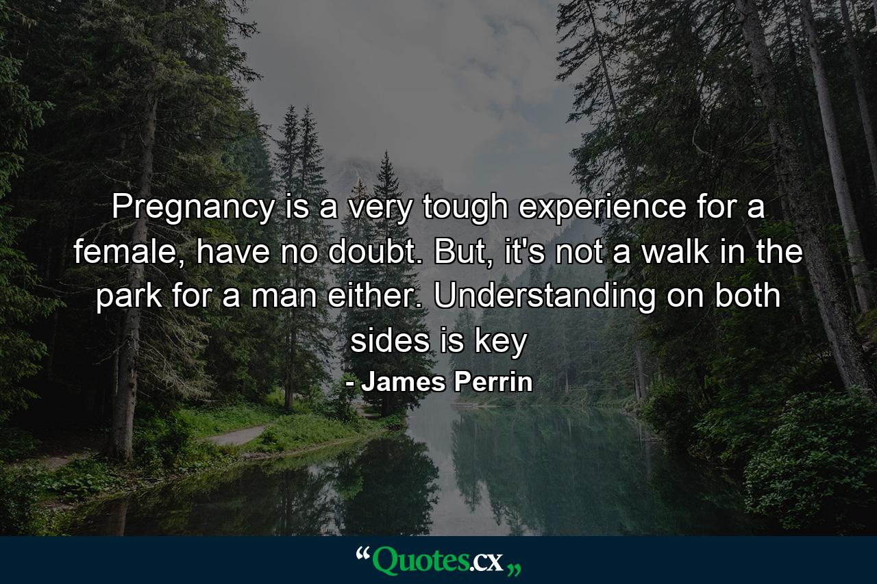 Pregnancy is a very tough experience for a female, have no doubt. But, it's not a walk in the park for a man either. Understanding on both sides is key - Quote by James Perrin