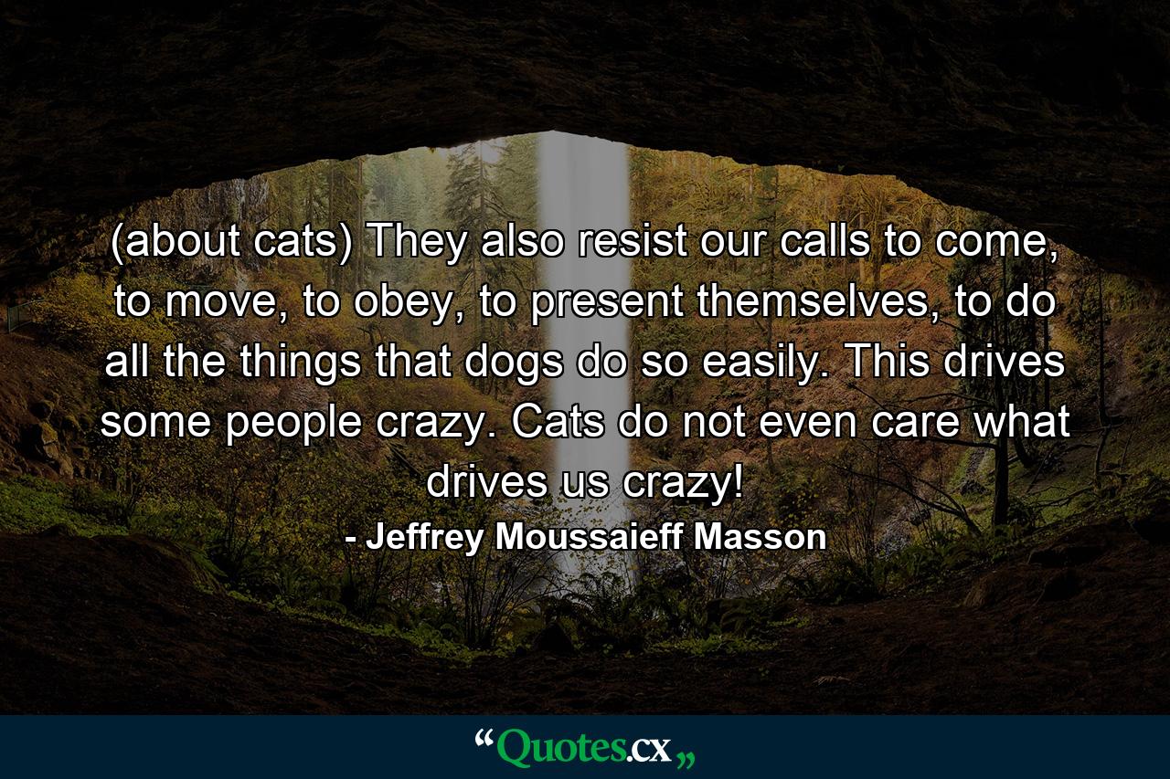 (about cats) They also resist our calls to come, to move, to obey, to present themselves, to do all the things that dogs do so easily. This drives some people crazy. Cats do not even care what drives us crazy! - Quote by Jeffrey Moussaieff Masson