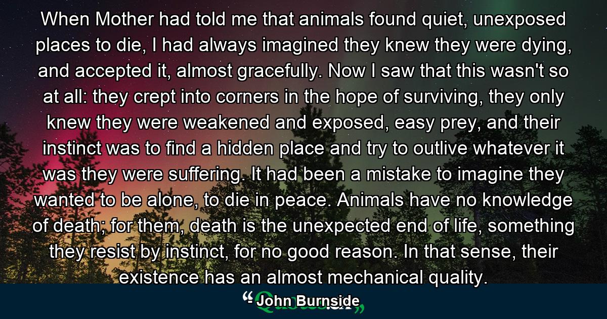 When Mother had told me that animals found quiet, unexposed places to die, I had always imagined they knew they were dying, and accepted it, almost gracefully. Now I saw that this wasn't so at all: they crept into corners in the hope of surviving, they only knew they were weakened and exposed, easy prey, and their instinct was to find a hidden place and try to outlive whatever it was they were suffering. It had been a mistake to imagine they wanted to be alone, to die in peace. Animals have no knowledge of death; for them, death is the unexpected end of life, something they resist by instinct, for no good reason. In that sense, their existence has an almost mechanical quality. - Quote by John Burnside