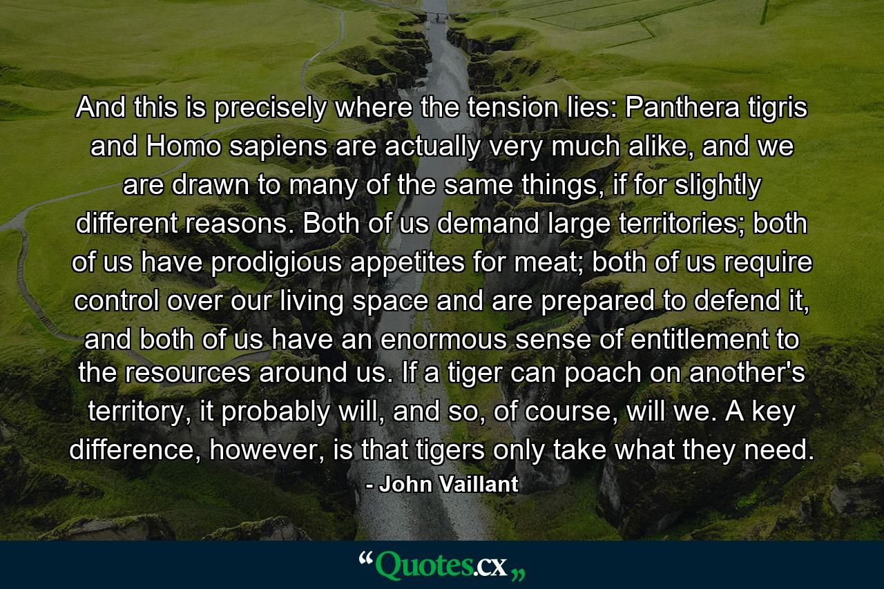 And this is precisely where the tension lies: Panthera tigris and Homo sapiens are actually very much alike, and we are drawn to many of the same things, if for slightly different reasons. Both of us demand large territories; both of us have prodigious appetites for meat; both of us require control over our living space and are prepared to defend it, and both of us have an enormous sense of entitlement to the resources around us. If a tiger can poach on another's territory, it probably will, and so, of course, will we. A key difference, however, is that tigers only take what they need. - Quote by John Vaillant