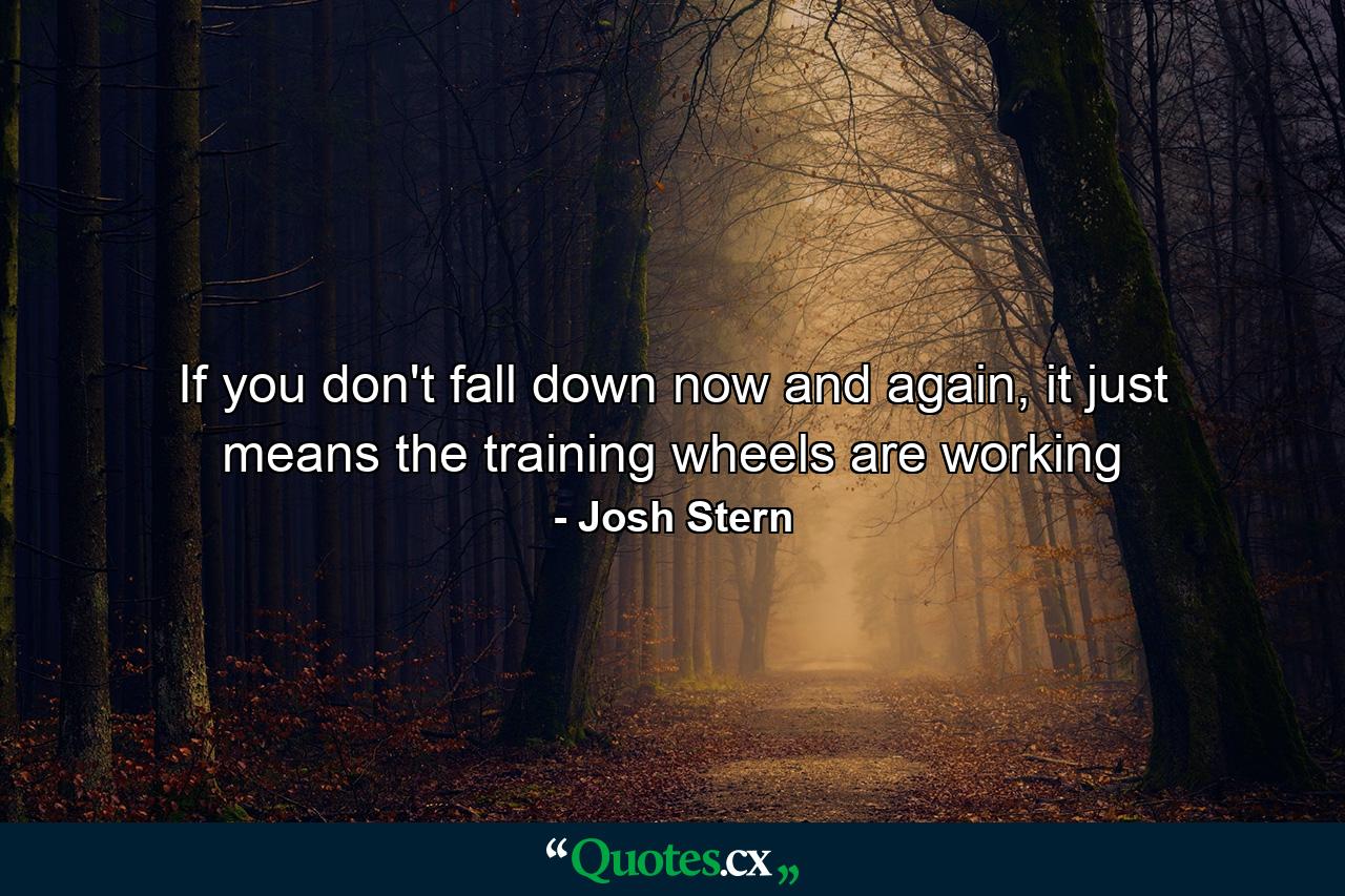 If you don't fall down now and again, it just means the training wheels are working - Quote by Josh Stern