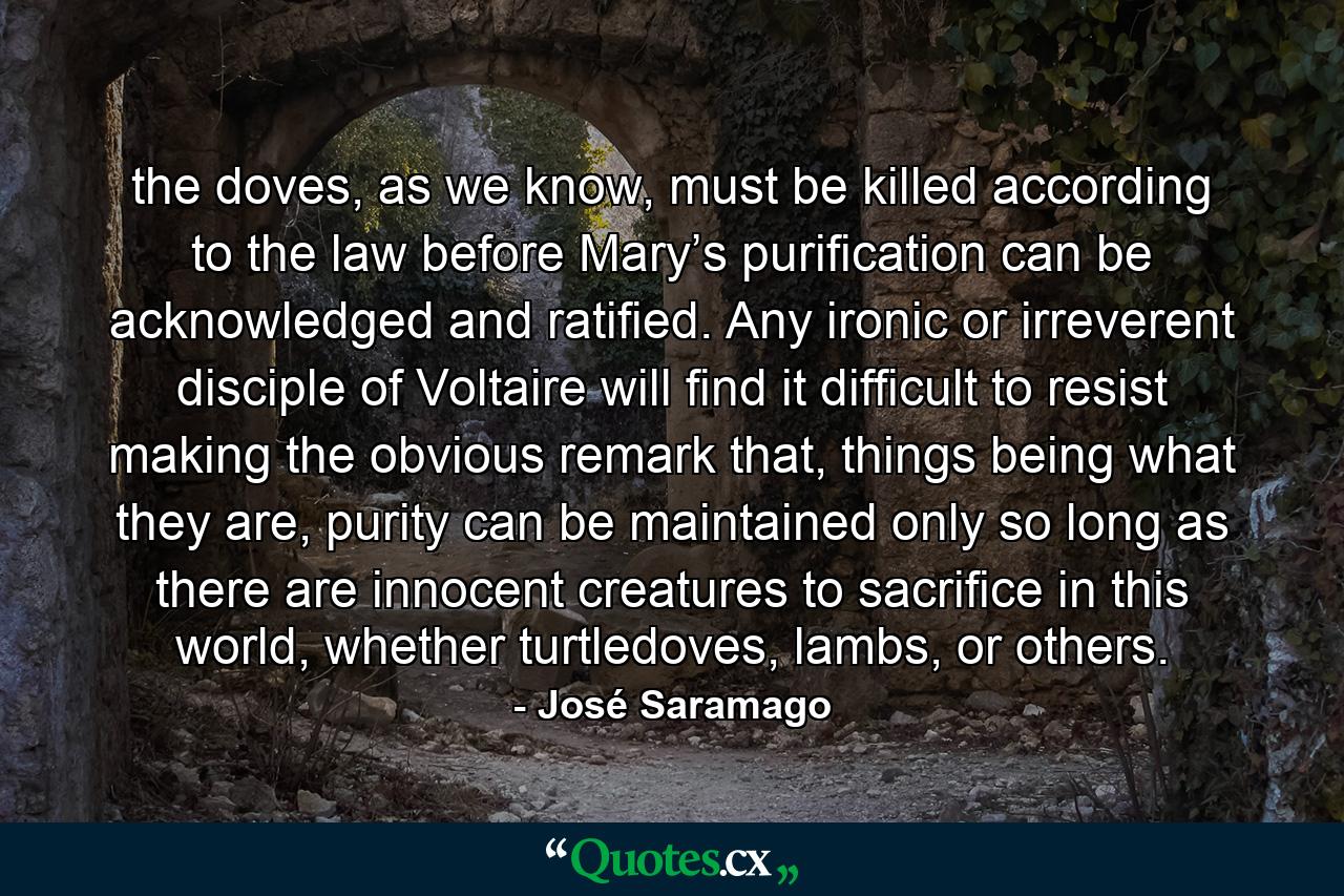 the doves, as we know, must be killed according to the law before Mary’s purification can be acknowledged and ratified. Any ironic or irreverent disciple of Voltaire will find it difficult to resist making the obvious remark that, things being what they are, purity can be maintained only so long as there are innocent creatures to sacrifice in this world, whether turtledoves, lambs, or others. - Quote by José Saramago