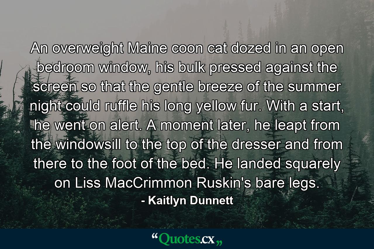 An overweight Maine coon cat dozed in an open bedroom window, his bulk pressed against the screen so that the gentle breeze of the summer night could ruffle his long yellow fur. With a start, he went on alert. A moment later, he leapt from the windowsill to the top of the dresser and from there to the foot of the bed. He landed squarely on Liss MacCrimmon Ruskin's bare legs. - Quote by Kaitlyn Dunnett