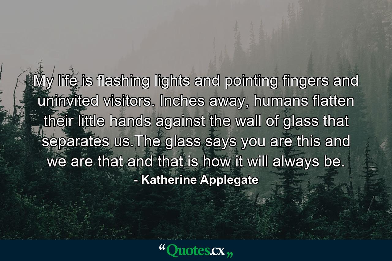 My life is flashing lights and pointing fingers and uninvited visitors. Inches away, humans flatten their little hands against the wall of glass that separates us.The glass says you are this and we are that and that is how it will always be. - Quote by Katherine Applegate