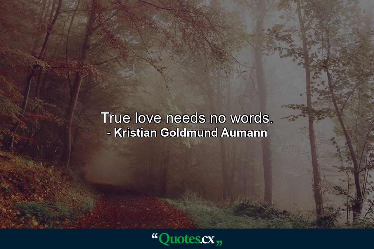 True love needs no words. - Quote by Kristian Goldmund Aumann