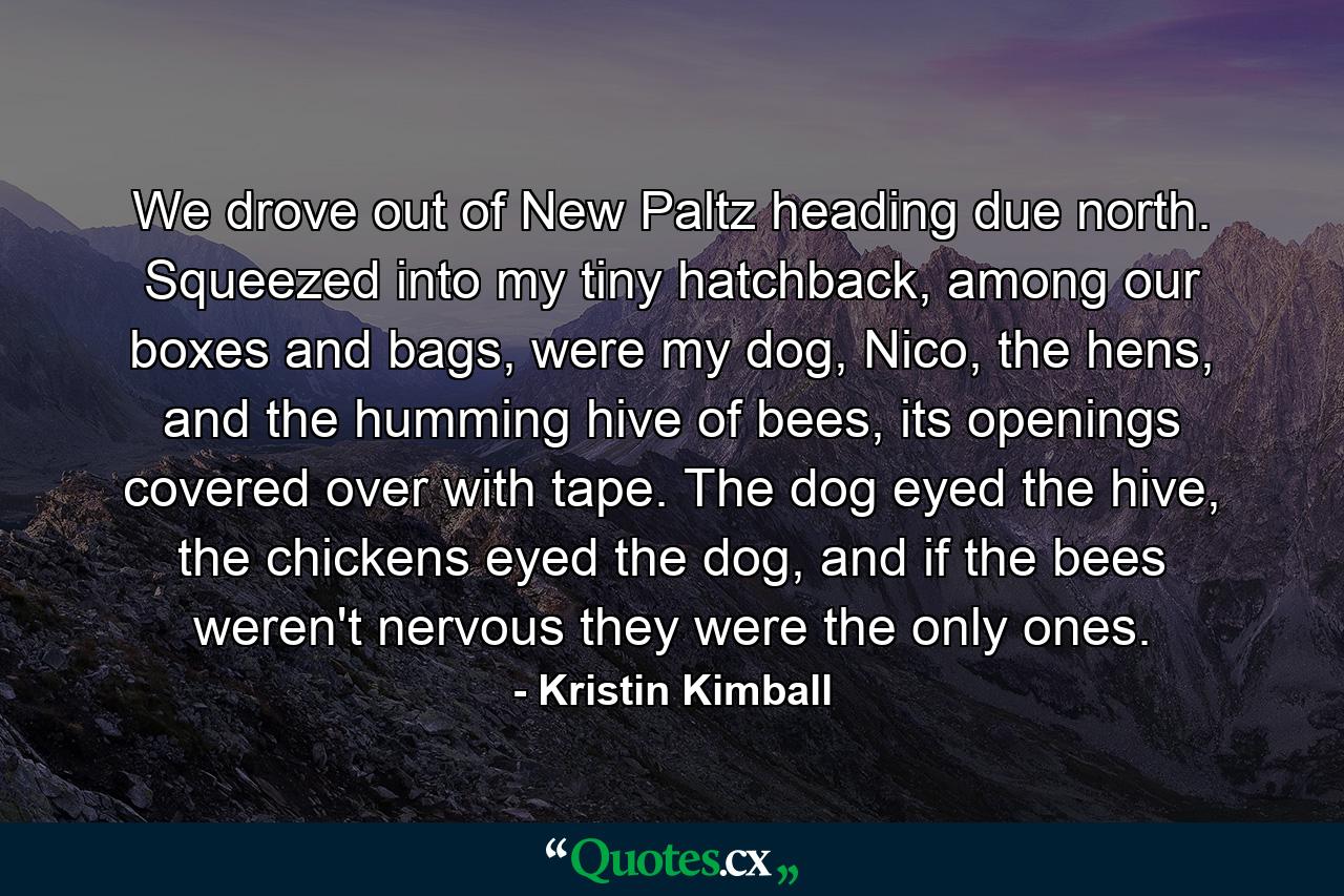 We drove out of New Paltz heading due north. Squeezed into my tiny hatchback, among our boxes and bags, were my dog, Nico, the hens, and the humming hive of bees, its openings covered over with tape. The dog eyed the hive, the chickens eyed the dog, and if the bees weren't nervous they were the only ones. - Quote by Kristin Kimball