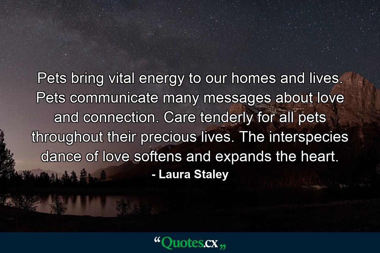 Pets bring vital energy to our homes and lives. Pets communicate many messages about love and connection. Care tenderly for all pets throughout their precious lives. The interspecies dance of love softens and expands the heart. - Quote by Laura Staley