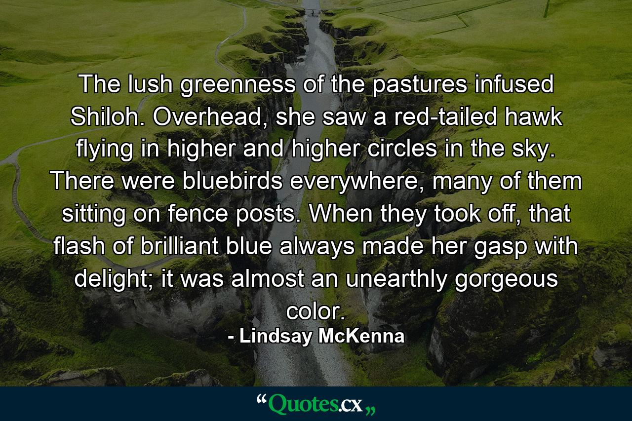 The lush greenness of the pastures infused Shiloh. Overhead, she saw a red-tailed hawk flying in higher and higher circles in the sky. There were bluebirds everywhere, many of them sitting on fence posts. When they took off, that flash of brilliant blue always made her gasp with delight; it was almost an unearthly gorgeous color. - Quote by Lindsay McKenna